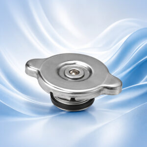 Radiator Cap